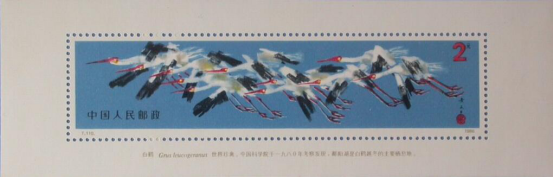 中南：《白鶴小型張》投資價值報告